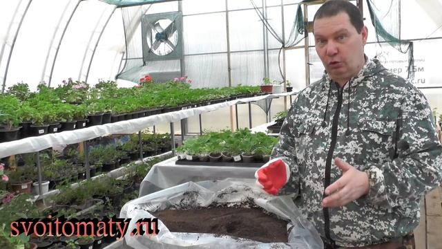 Мой рецепт приготовления грунта для рассады смотреть онлайн