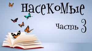 Насекомые для детей. Учим насекомых. Часть 3