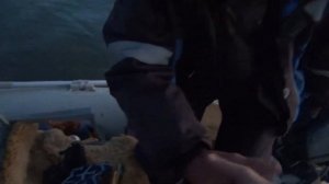 Осенний Жерех на Или  2022