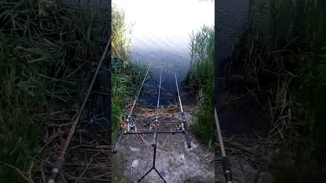 Рыбалка на реке Уды с ночевкой