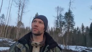 Охота на медведя весной у привады. Вышел крупный матёрый самец.
