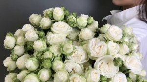 Кустовая роза "Мисс Бомбастик"