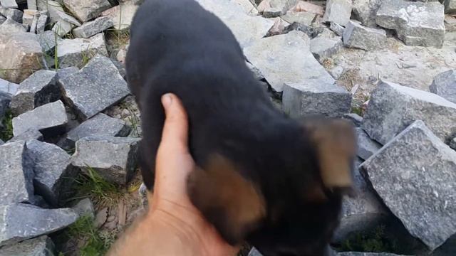 Обзор нашей стройки. Продолжаем бутовый фундамент. Закрыли в земле. Начинаем цоколь из бута смотреть онлайн