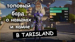 Топовый бард-хил EU-1 поясняет за навыки + камень в TarisLand. GradoboevTV