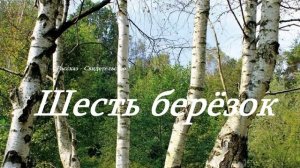 Шесть берёзок.. (Свидетельство - рассказ)