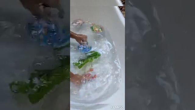 Акулëнок ловим рыбу. Развивающий канал для малышей смотреть онлайн