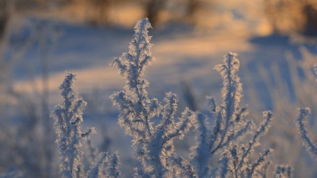 "АХ ТЫ, НОЧЕНЬКА"... (Хор им. М.Е.Пятницкого) смотреть онлайн