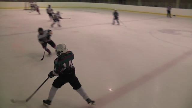 Лисы_Ястребы 12.01.20 смотреть онлайн