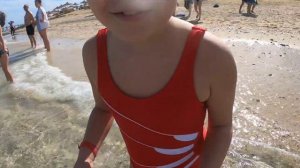 Albatros Sea World Marsa Alam / зима / декабрь