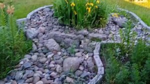 Мульчирование опилками. Польза или вред? Мой опыт.