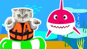 Baby Shark котик - Песенка про акулу с котиком и Boochi Boom TV