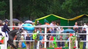 Орловский рысак. Самая знаменитая русская порода лошадей! Конкур.