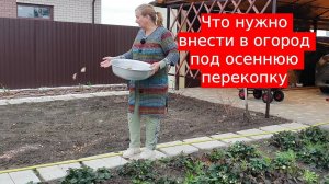 Внесите эти удобрения осенью, под перекопку, на следующий год огорода завалит вас урожаем