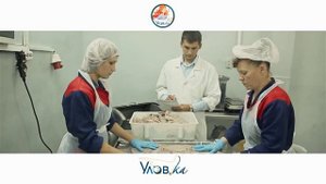 Натуральные рыбные снеки УловКа