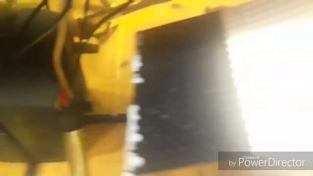 кормешка моих животных черепахи и кота смотреть онлайн