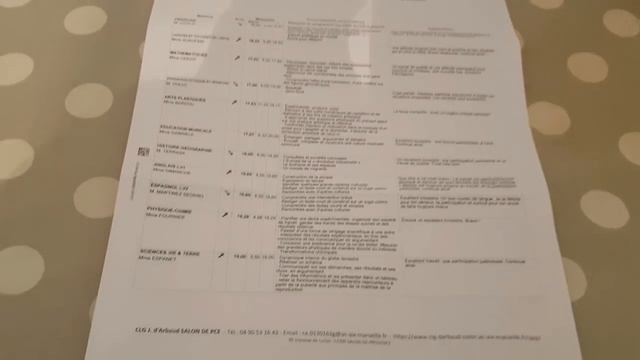 Веселый КАРАНТИН. Отпуск НАКРЫЛСЯ ? Французы учат Русский. Мой ВРЕДНЫЙ СВЁКОР. Реальная Франция смотреть онлайн