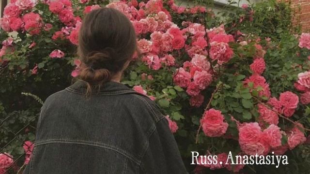 Цыганская Полька Чачо Чачо 2022 ?Слава Крым Цыганская песня 2022 смотреть онлайн