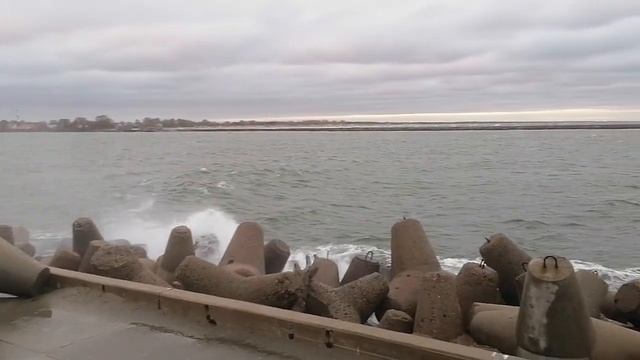 01.11.23 #прогулкипобалтийскомупляжу#балтийск#море#красотавглазахсмотрящего#родныепросторы