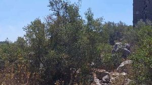 Полигональная кладка неизвестного древнего  "города" вблизи (Мерсин, Турция)