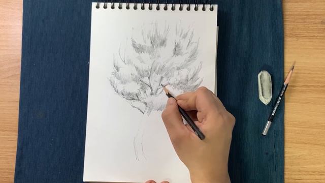 Pine tree pencil drawing 소나무 연필 드로잉 смотреть онлайн