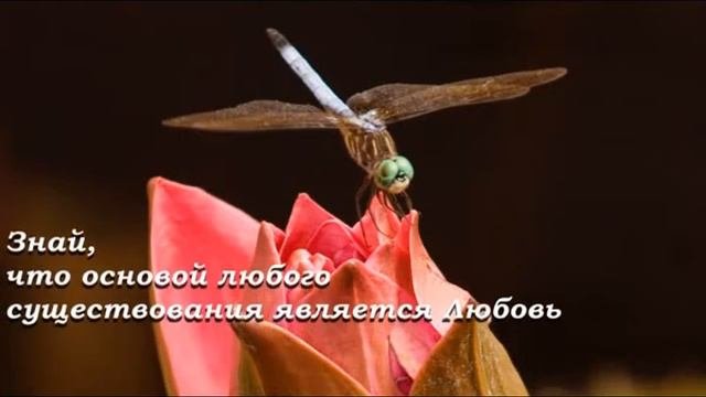 Мудрость в Самопознании
