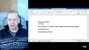 Вывод Свищевых маток. Немного расчётов и выбраковка после деления на пол лёта.