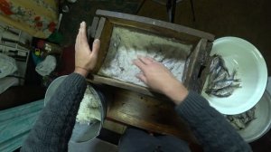 ДЕДОВСКИЙ СПОСОБ ЗАСОЛА РЫБЫ. СУХОЙ посол . ТАРАНКА 2023