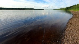 Готовим на костре / Ловим рыбу и собираем ягоды / Подбираем ключик к рыбе / Рыбалка на отводной