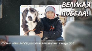 Бойцам – собакам Героям великой отечественной войны посвящается.mp4