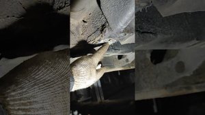 как снять подрамник Пежо 806 Фиат улисс Ситроен эвазион заламались болты прокручиваются