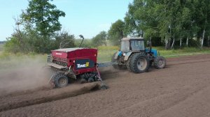 Озимый сев в обработанную почву