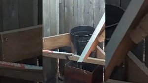 зернодробилка из триммера