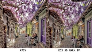 Sony A7IV VS Canon EOS 5D Mark IV | Camera Test