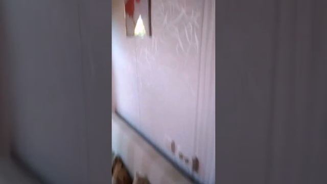 Кирриловка Усадьба Комильфо.. смотреть онлайн