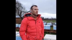 Принимаем заказы на маток Бакфаст (F1 и ИО) и пчелопакеты.