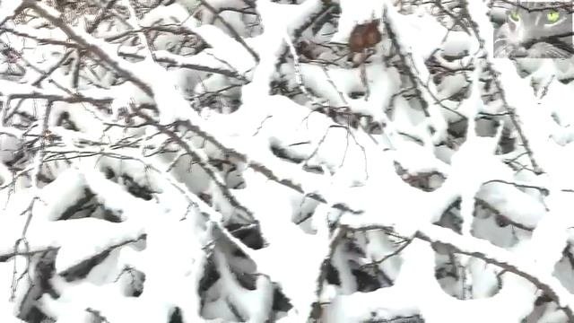 Что можно и что нельзя делать на Сретение Господне в 2020 го