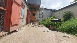 В гостях у Авакова Артура в Кисловодске