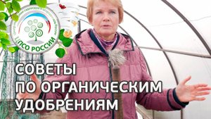 Органические удобрения. Какие листья подходят для компоста. Как хранить золу.