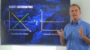 Perfect competiton:  Demand curve for individual producer