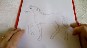 КАК НАРИСОВАТЬ КОНЯ (ЛОШАДЬ) (очень просто, для начинающих)