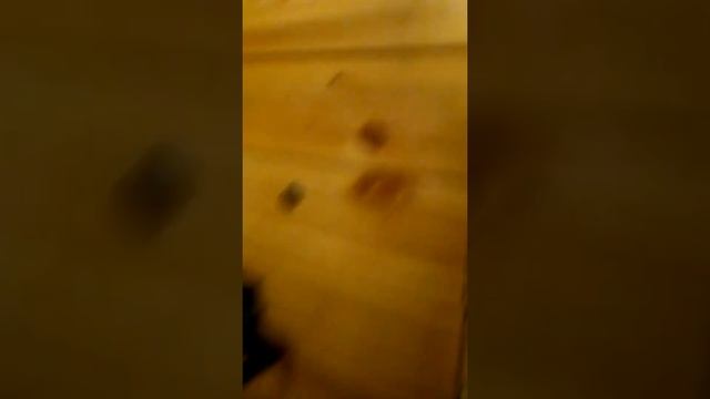 Новая "лампочка" (светильник),изготовление хозблока. смотреть онлайн