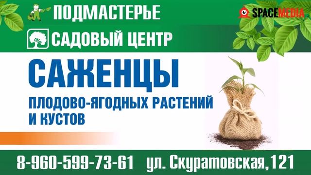 Подмастерье Тула