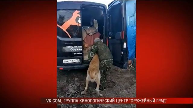 18 10 2019 Волонтёры помогли дальнобойщику из Ижевска вернуться из Владивостока домой смотреть онлайн