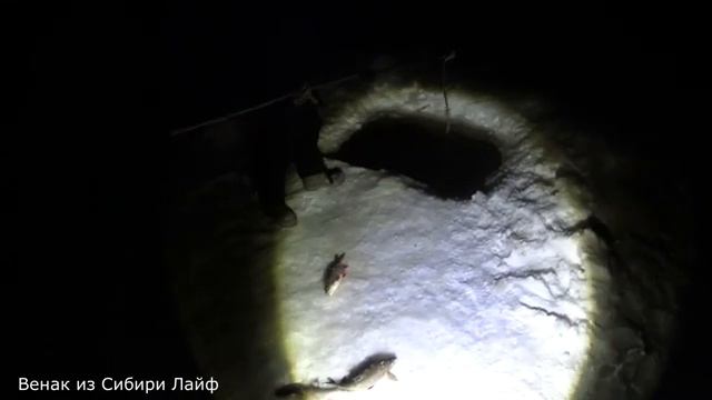 Нереальная рыбалка! Сазаны и Язи на паук- подъемник!