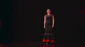 Flamenco intro