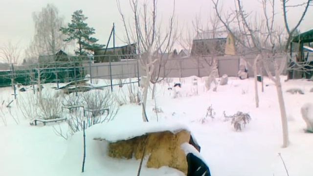 Укрытие персика на зиму в Средней полосе России. смотреть онлайн