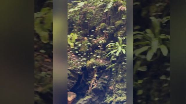 Медитация для внутреннего баланса и повышения жизненных сил смотреть онлайн