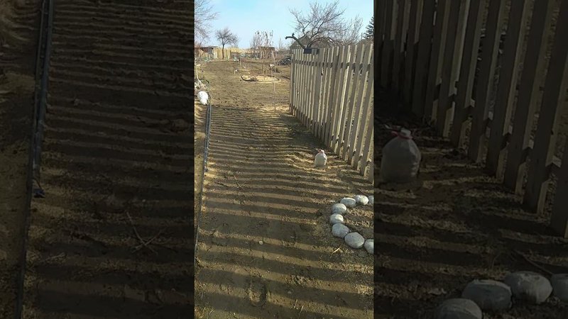 Весна на пороге