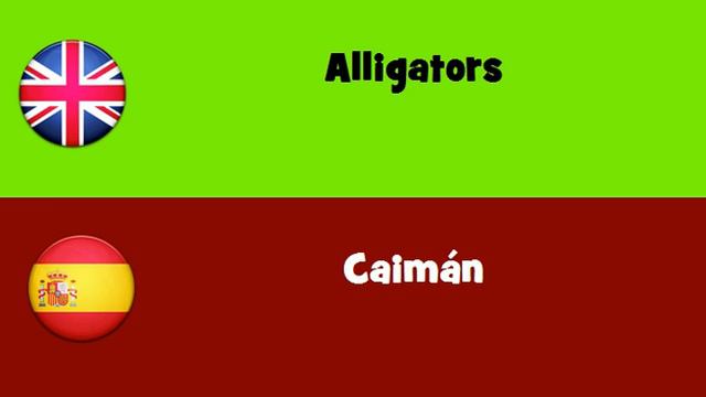 FROM ENGLISH TO SPANISH = Alligators смотреть онлайн