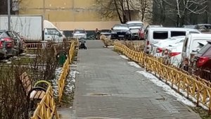 Электротрайк из гироскутера своими руками. Электровелосипед для сына . Самодельный электровелосипед